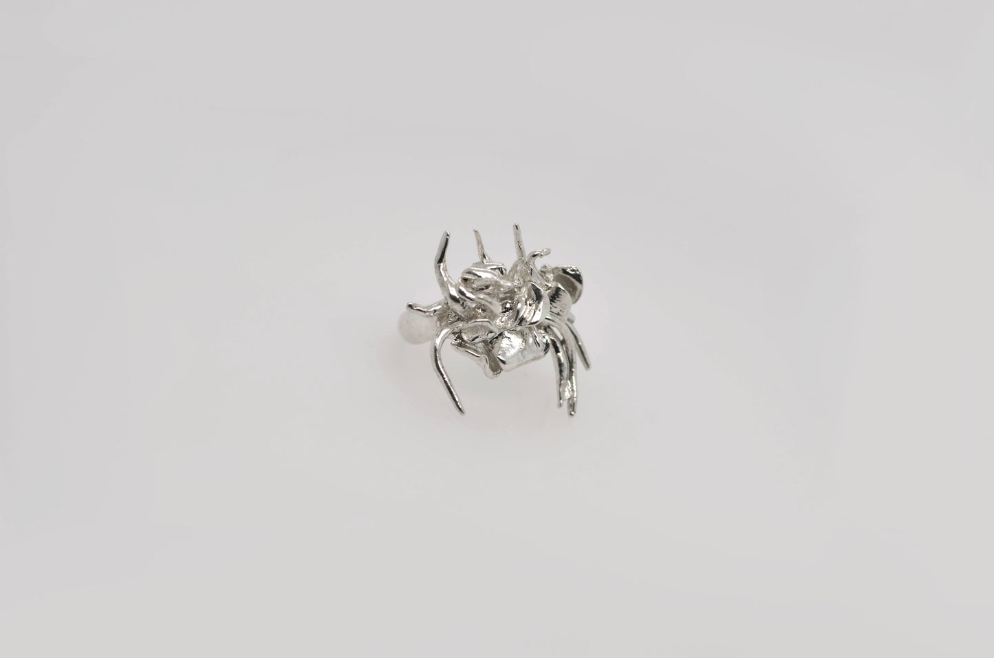 Armed Spider