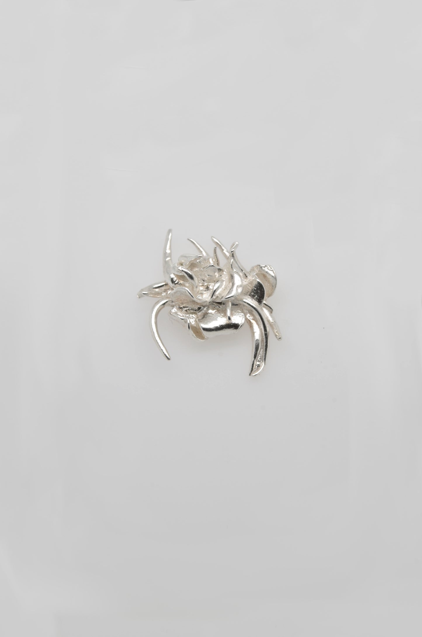 Armed Spider